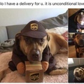 the only acceptable mailman