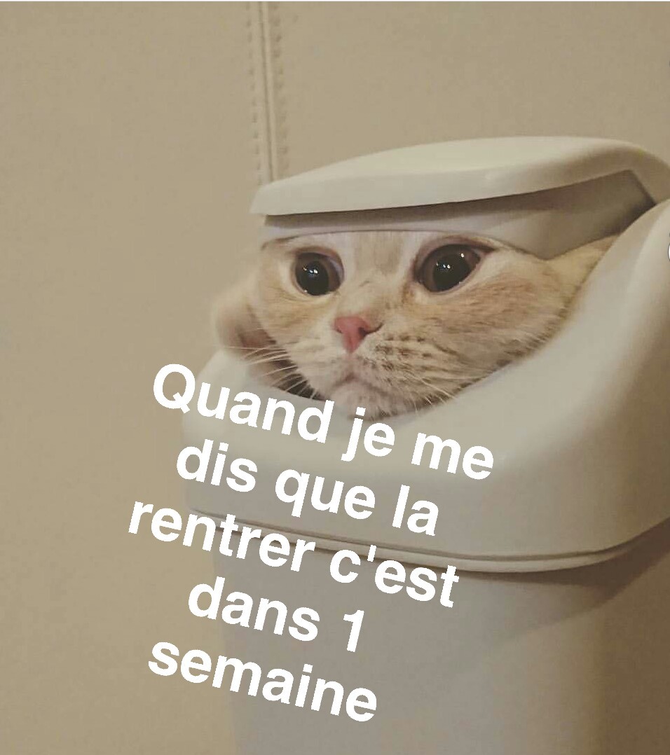 La rentree c'est de l'eau - meme