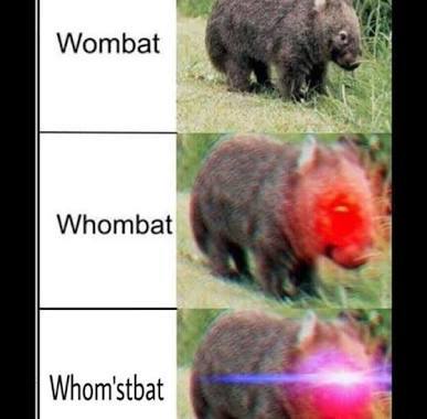 WHOMST THERE - meme
