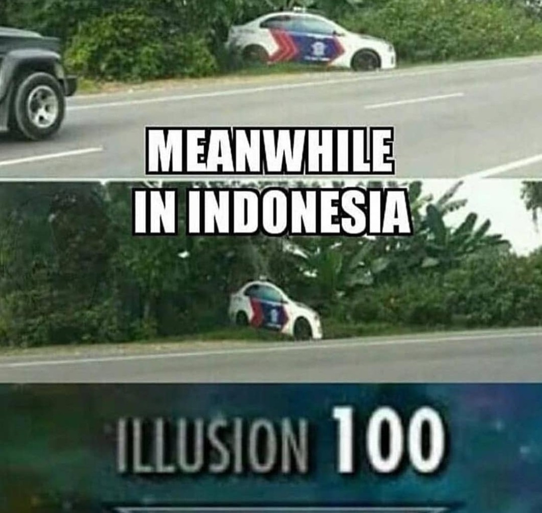 illusion - meme