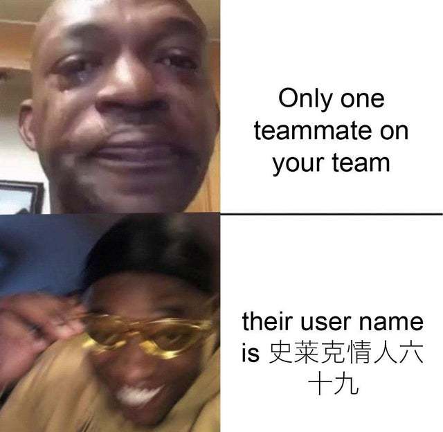 Only one teammate on your team - meme