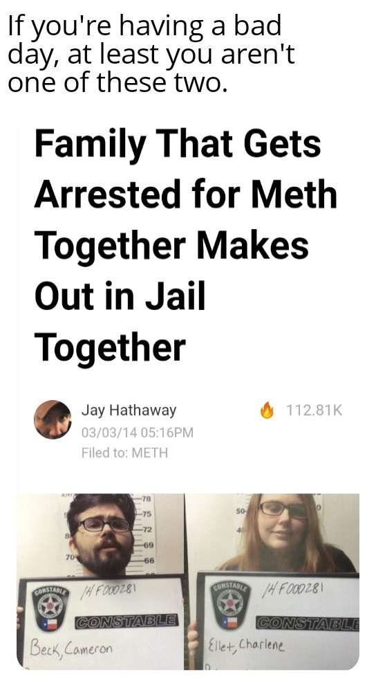 Meth, not even once, it makes you fuck your sister - meme
