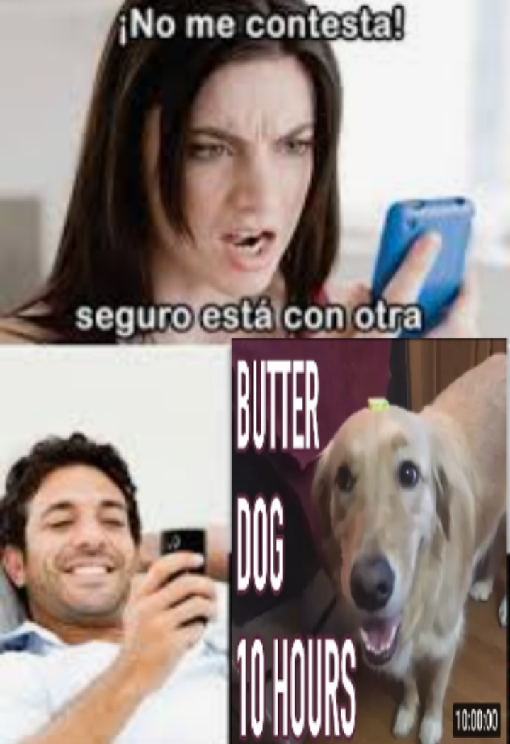 Ohh its the butter dog - meme