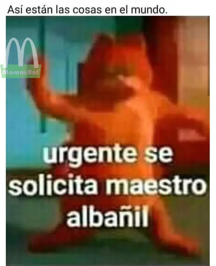 Maestro albañil - meme