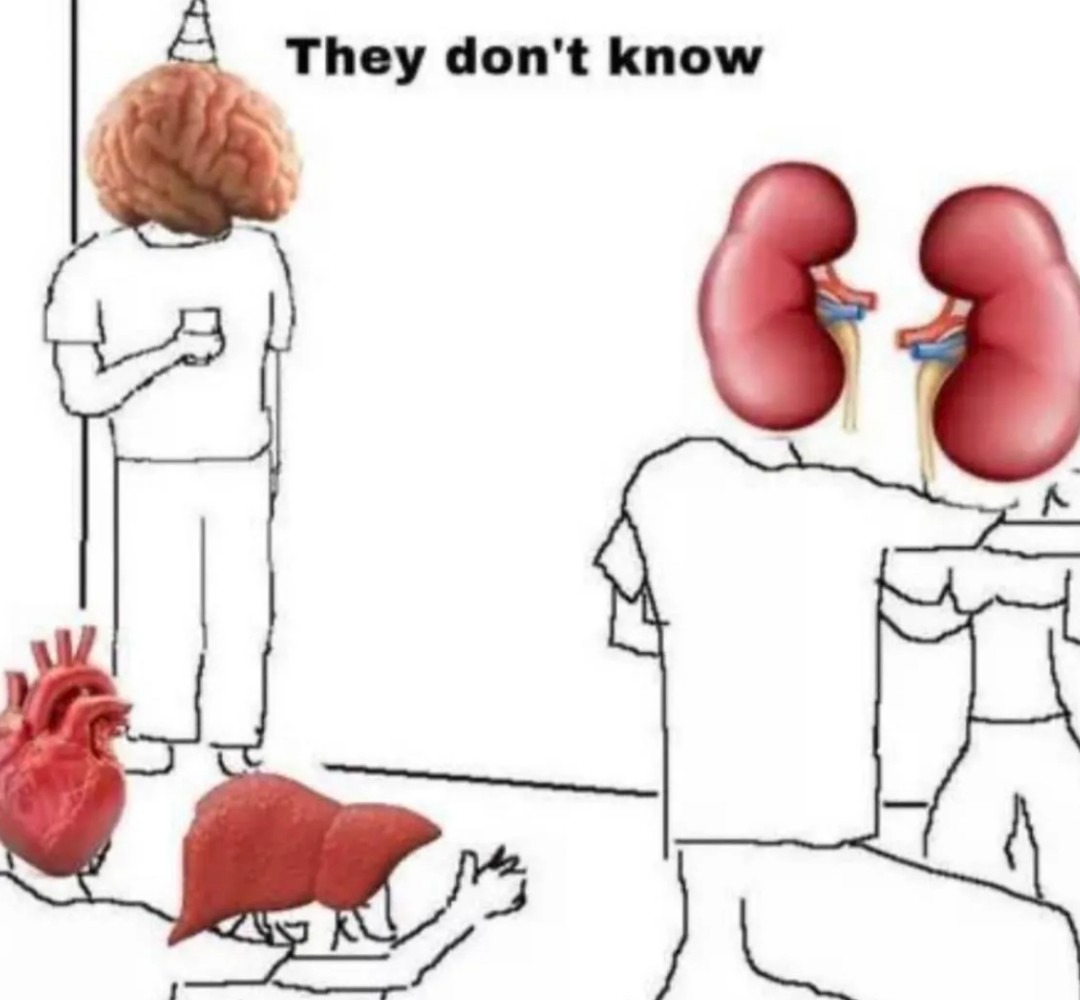 Dongs in a organ - meme