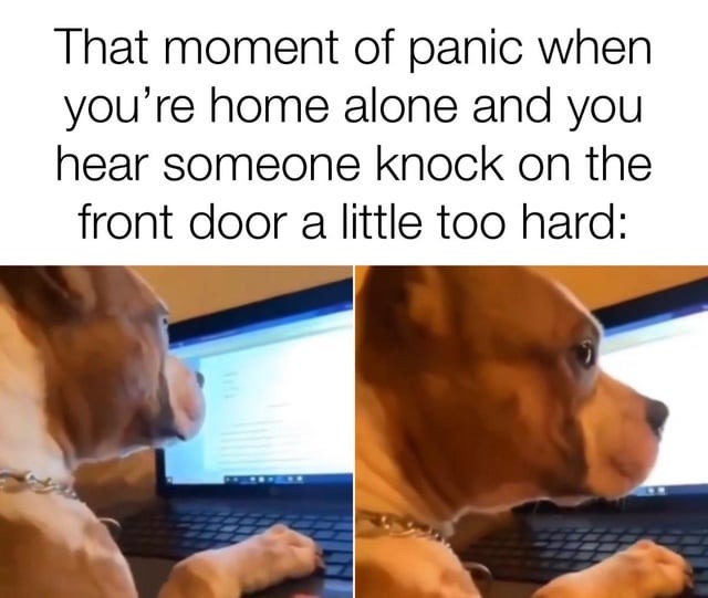 Moment of panic - meme