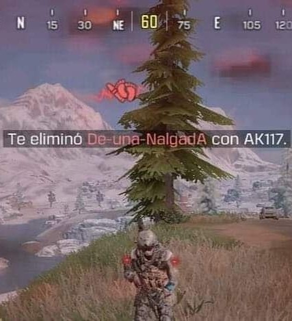 Es el mejor nombre que he visto nunca - meme