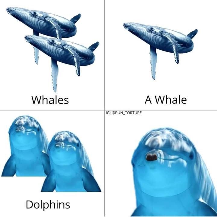 Adolf - meme