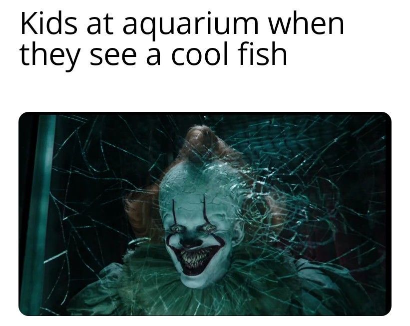 fishy fishy - meme