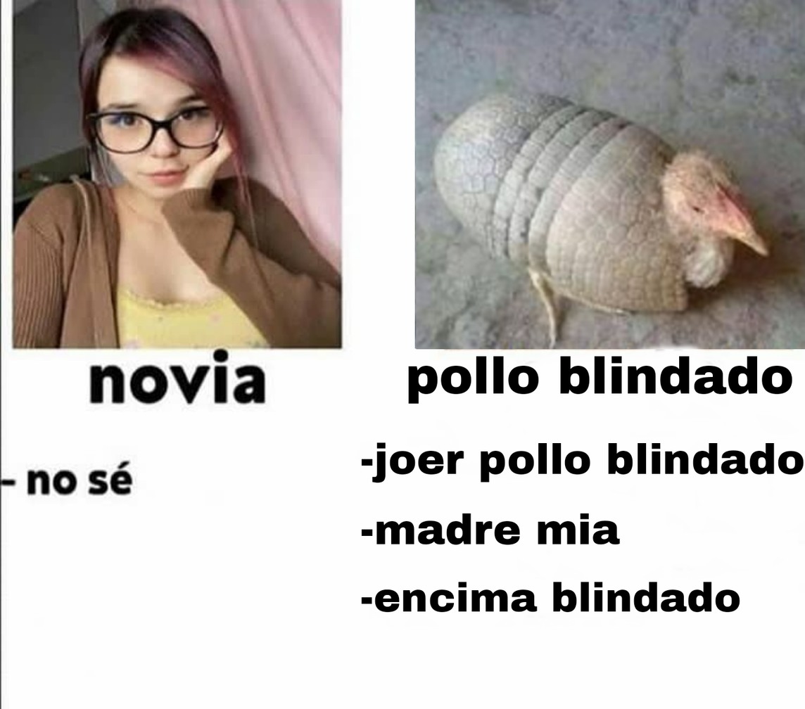 Pollo blindado - meme