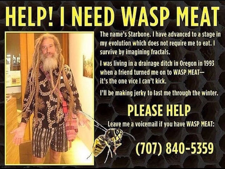 First 10 callers get a free wasp nest - meme