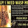 First 10 callers get a free wasp nest