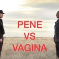 Pene vs vagina
