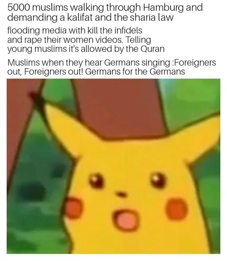 Germans are getting sick of the situation - meme