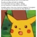 Germans are getting sick of the situation