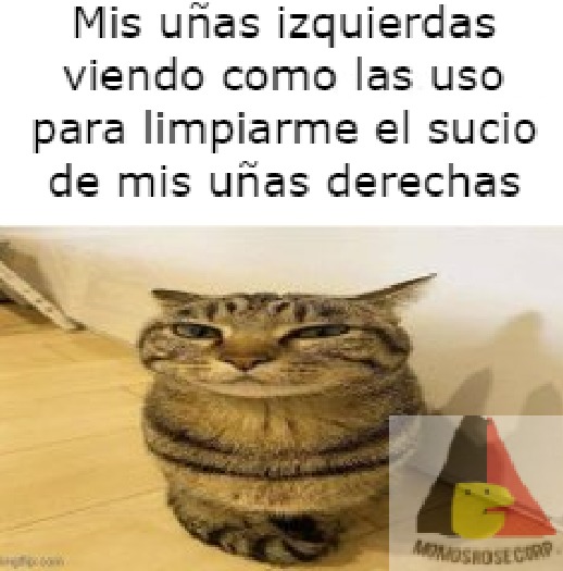 A veces funciona - meme