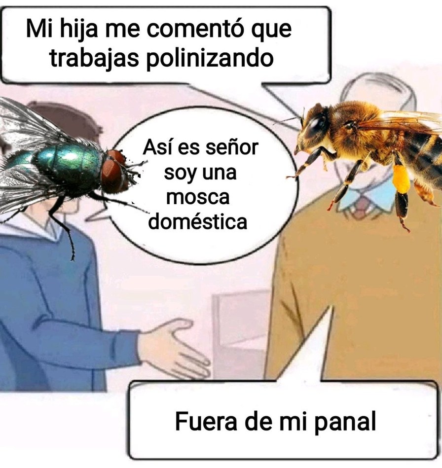 Abejas god - meme