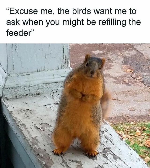 if you ask so politely yes - meme
