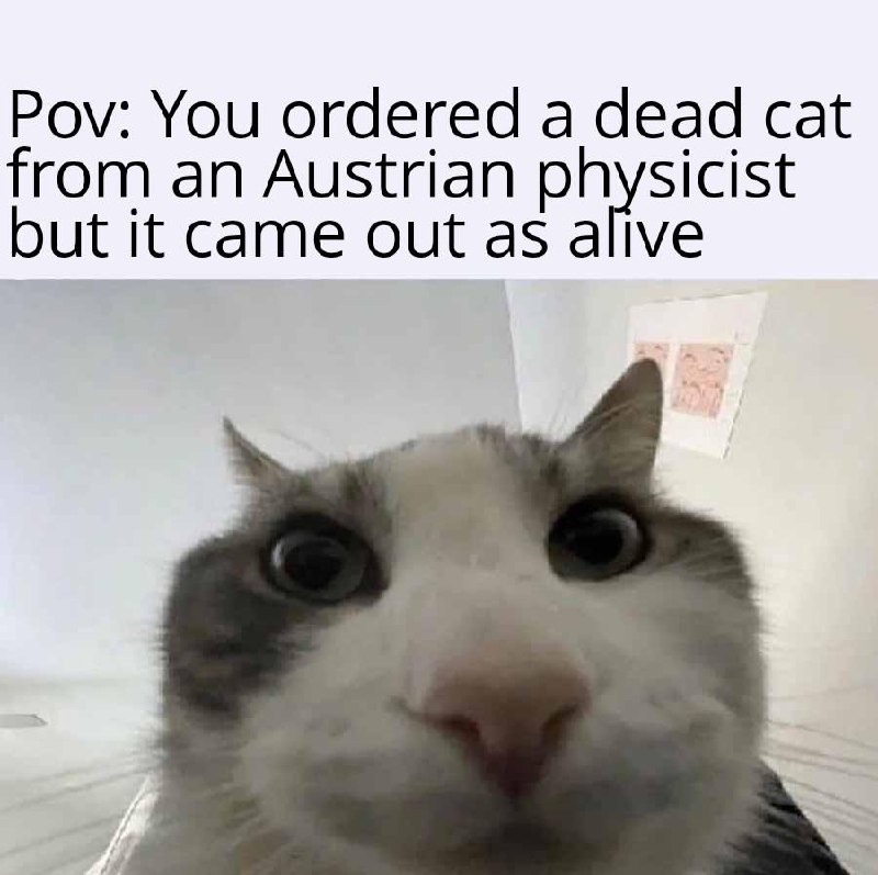 Ordered Schrödinger's cat... it showed up alive - meme