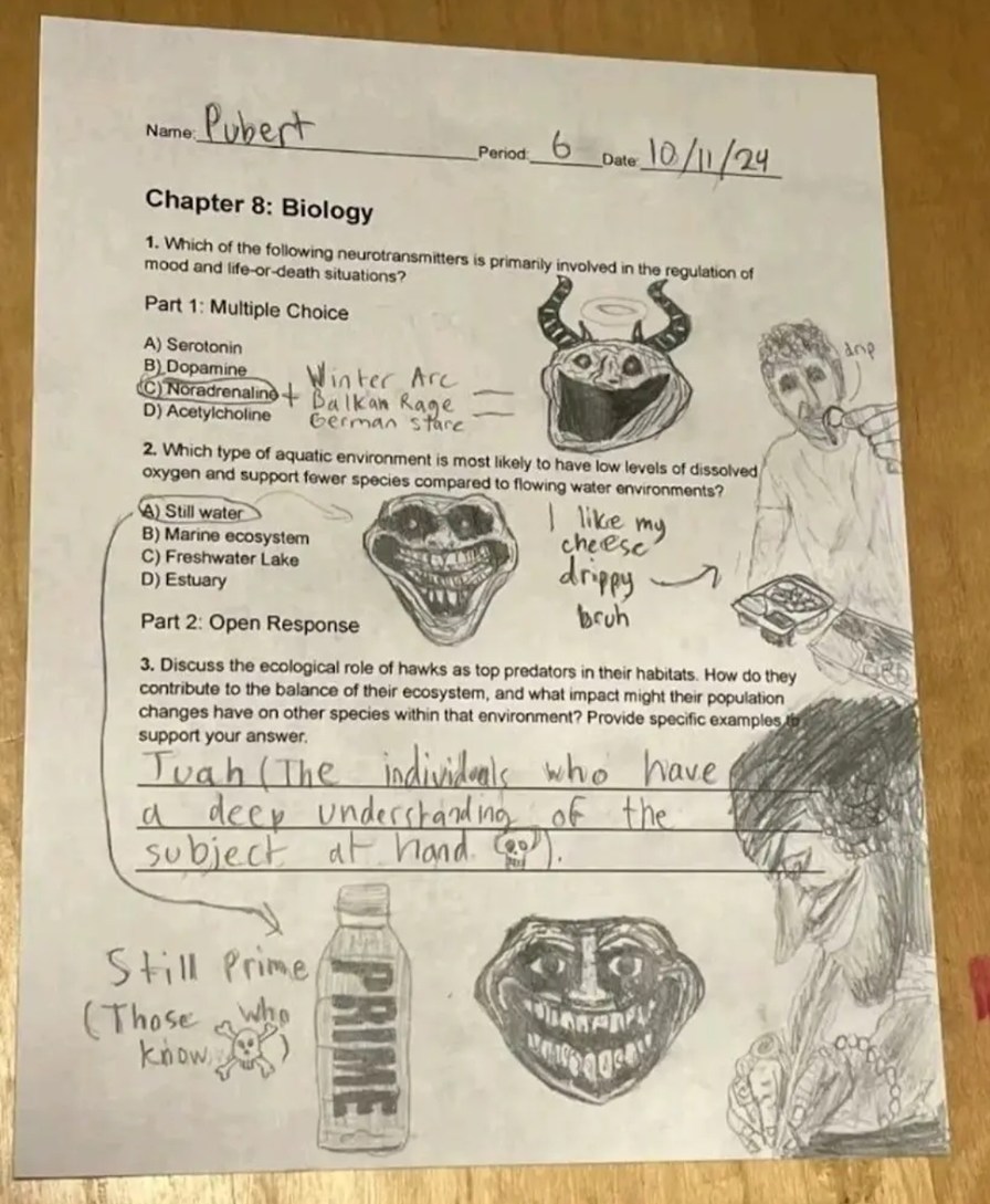Lmaooo imagina que si fueras un profesor y uno de tus estudiantes hace estos dibujos pedorros en una prueba ohhh la ptm que cringe - meme