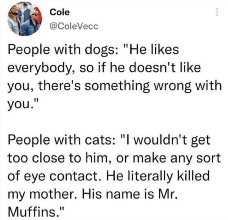 ﻿Cole @ColeVecc People with dogs: “He likes everybody; so if he doesn’t like you, there’s something wrong with you_ People with cats: “I wouldn’t get too close to him; or make any sort of eye contact_ He literally killed my mother: His name is Mr. Muffins_