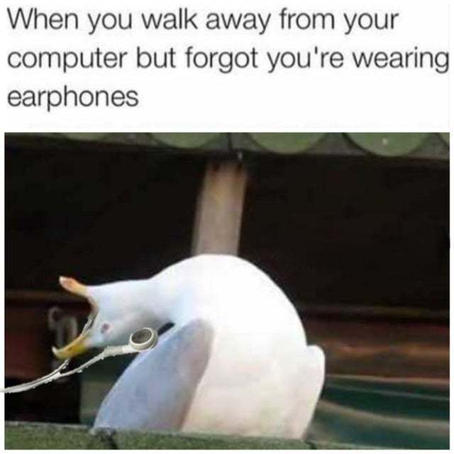 When you walk away from your computer but forgot you are wearing earphones - meme