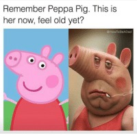 Peppa pig takes drugs - meme
