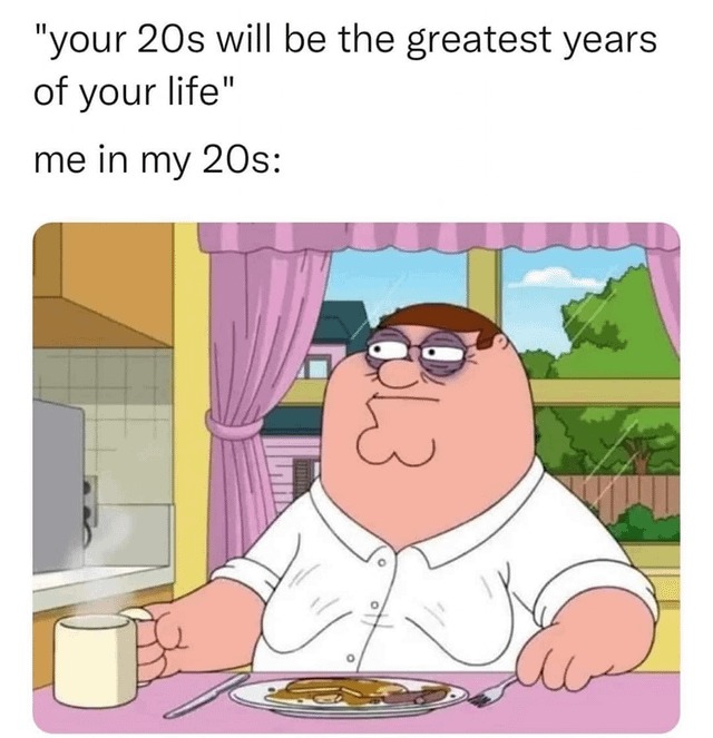 my 20s - meme