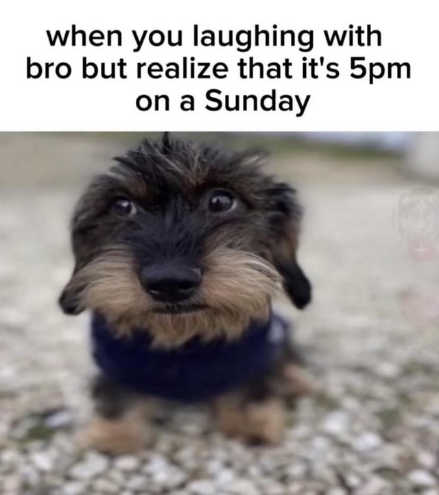 Laughing with bro on a Sunday - meme