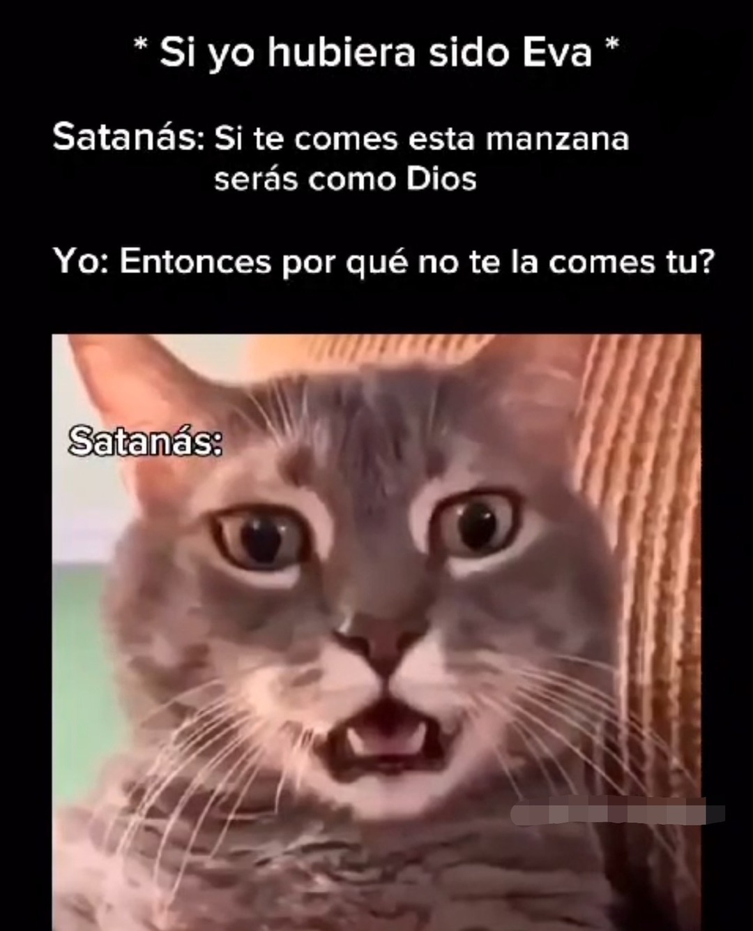 Satanas mmste - meme