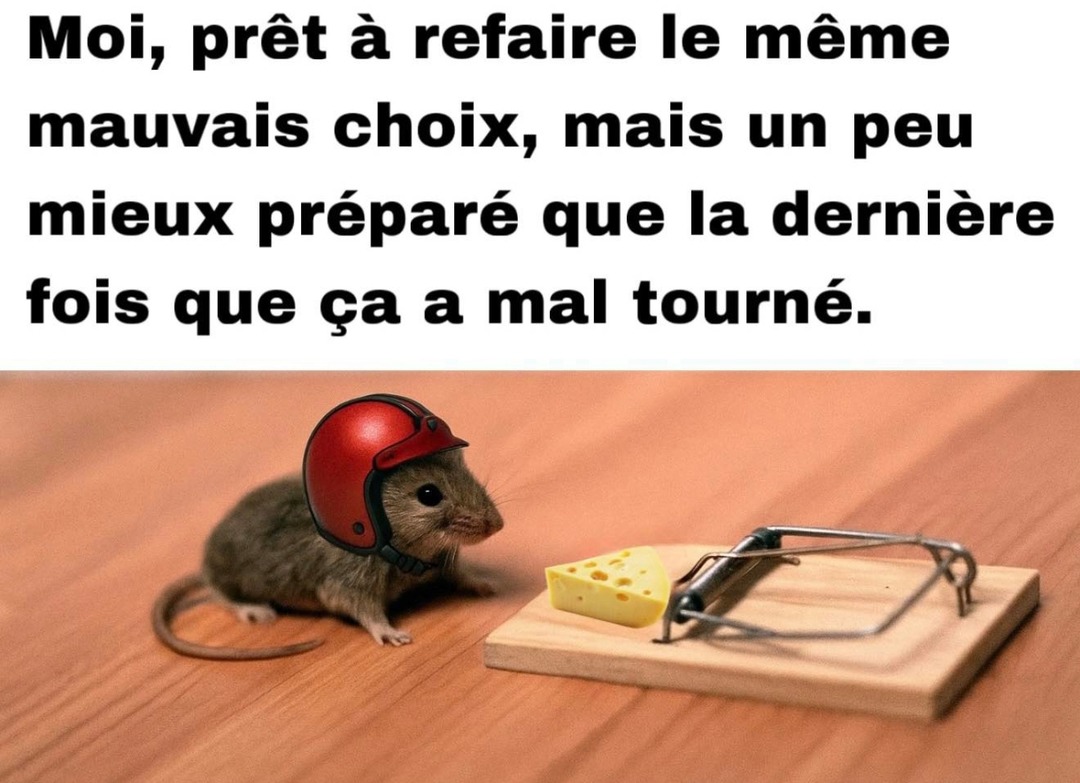 Refaire la même erreur mais avec de l'expérience cette fois - meme