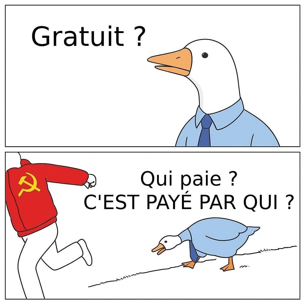 C'est nicolas qui paie - meme