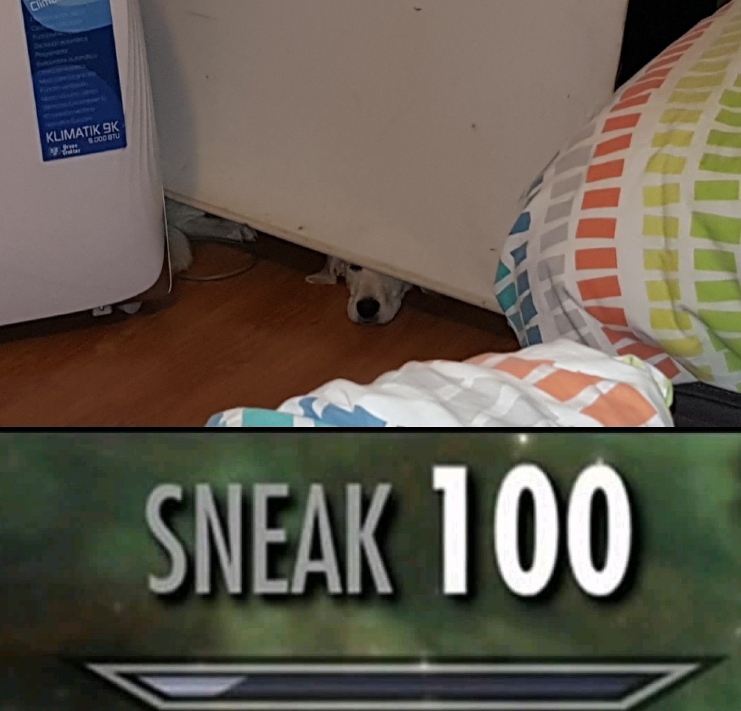 Sneaky Boi Meme Subido Por Pbenavides Memedroid