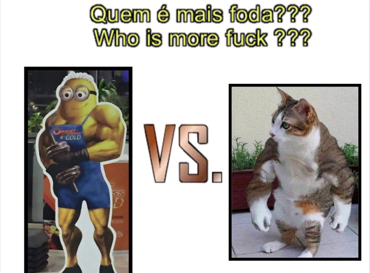 who is more fuck? - meme