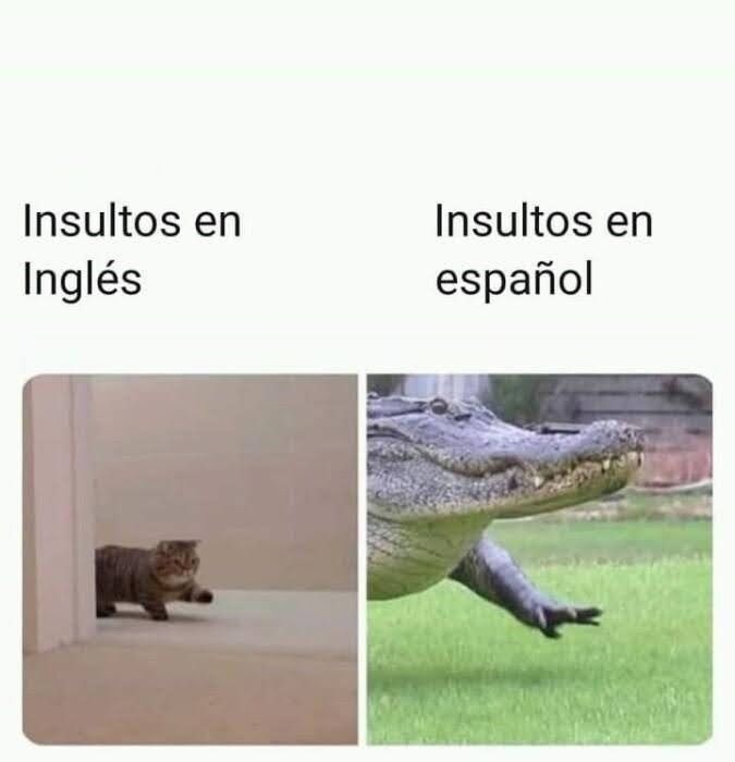 No se porqué pero me dan risa nuestros insultos :V - meme
