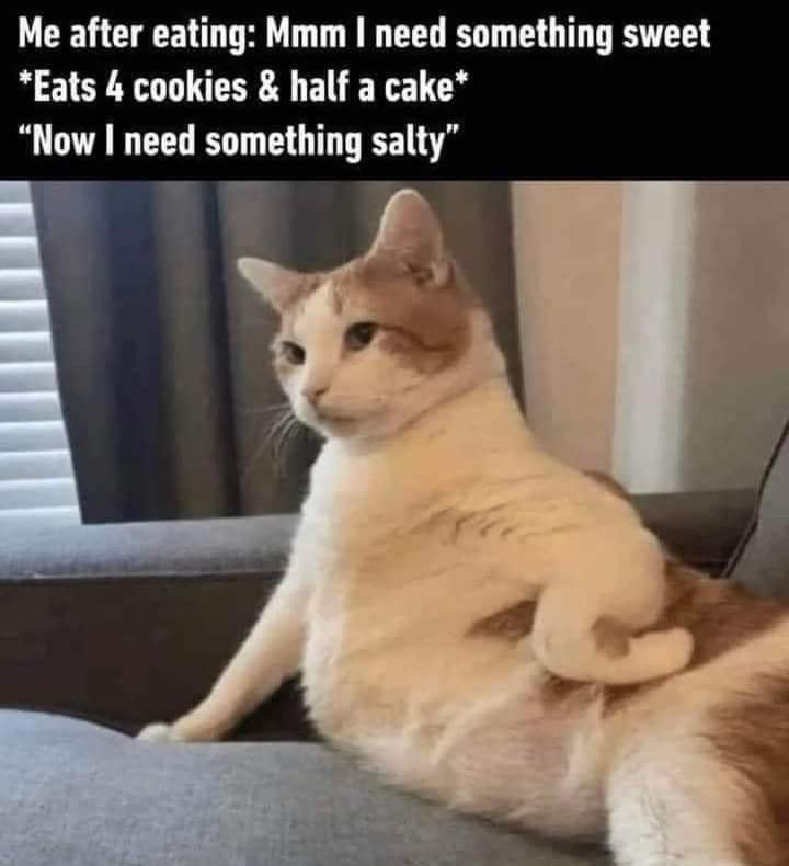 Sweet, salty, repeat. It never ends. - meme