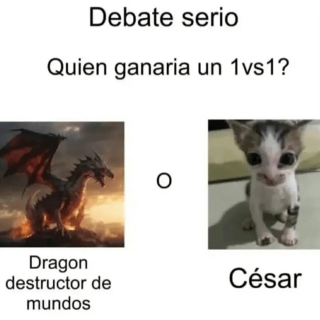 duelo épico - meme