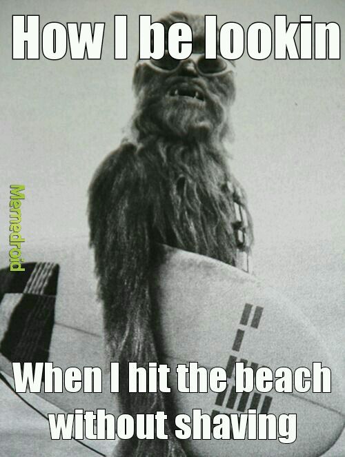 Chewie - meme