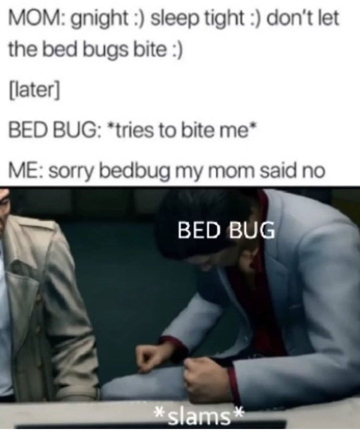 Bad bug - meme