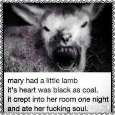 mary had a litle lamb - meme