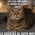 Gato Watón