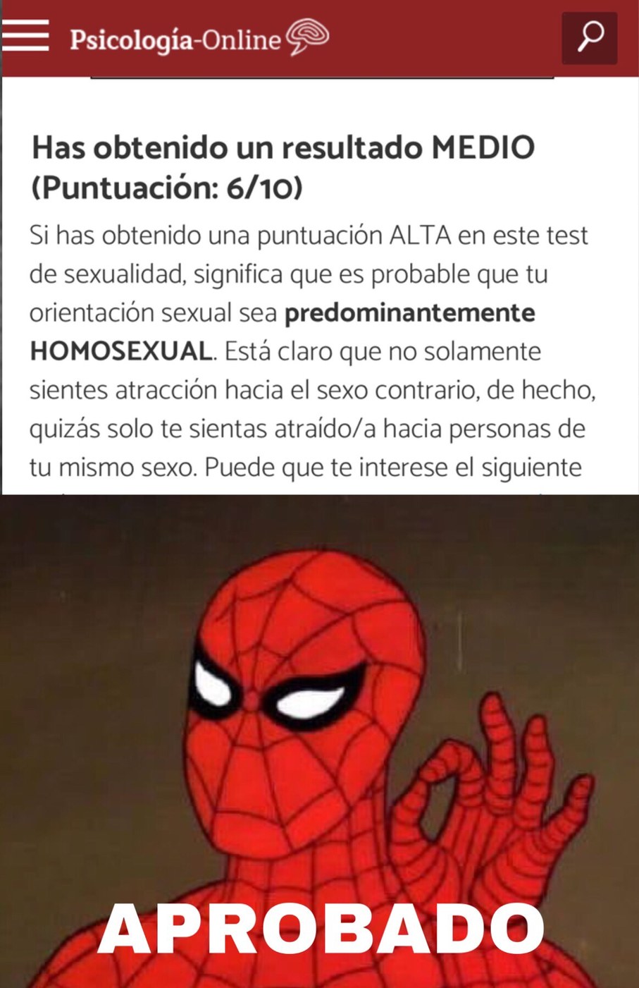 El nuevo Spiderman bisexual - meme