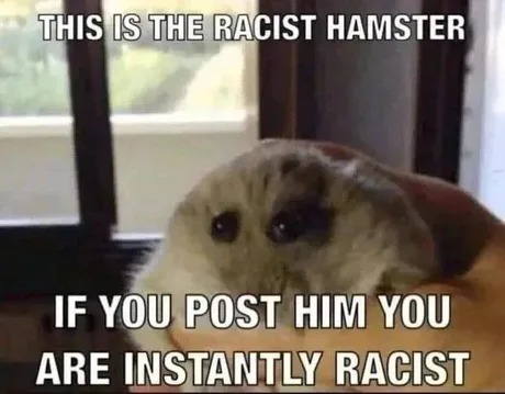 Racist hamster - meme