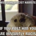 Racist hamster