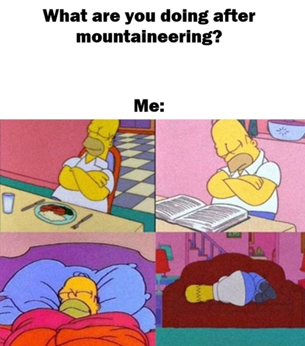 Just sleep - meme