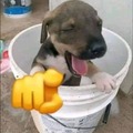 commented item thumbnail