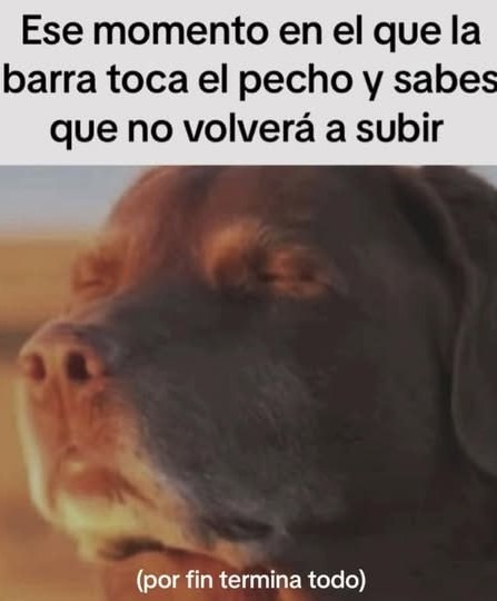 Cuando la barra toca tu pecho en press banca - meme