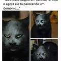 Gato + Farinha = Demônio