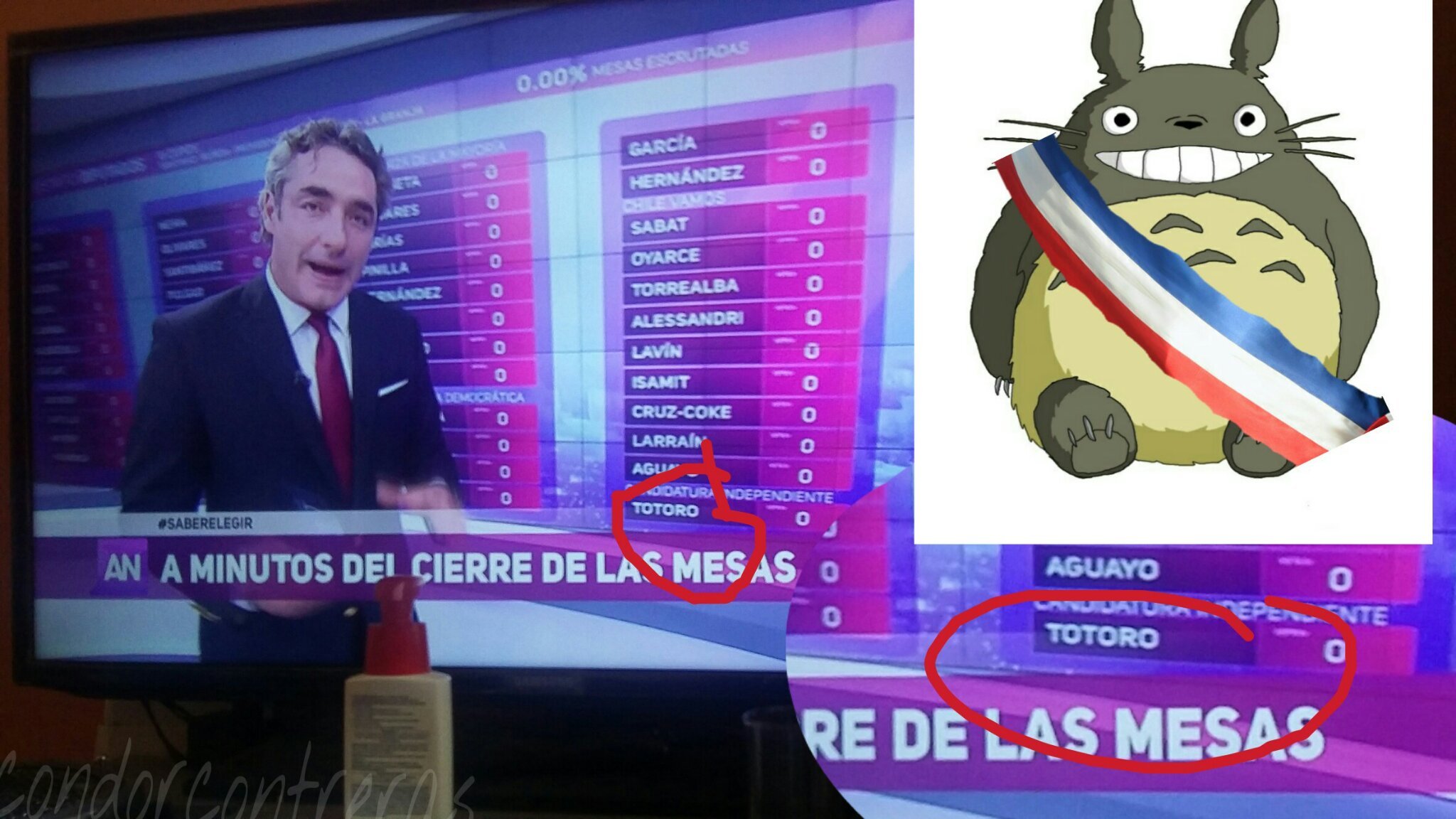 Totoro for diputado. - meme