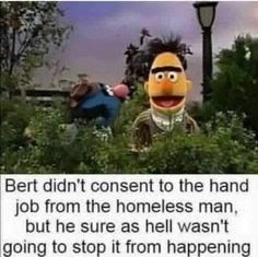 We need to make Bert and Ernie great again - meme